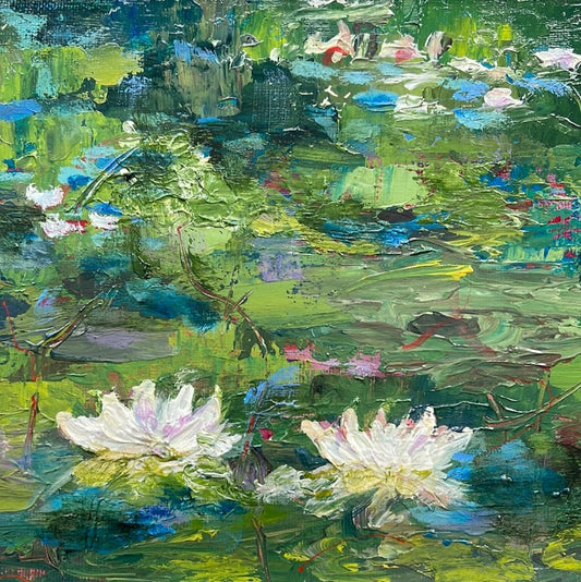 Water lilies - Up North